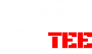 Pintee T-shirt